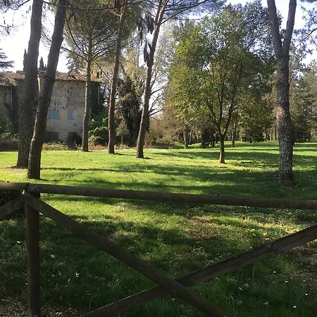 Old Town In The Green: Federico's Apartment. דירה *