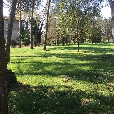דירה Old Town In The Green: Federico's Apartment.